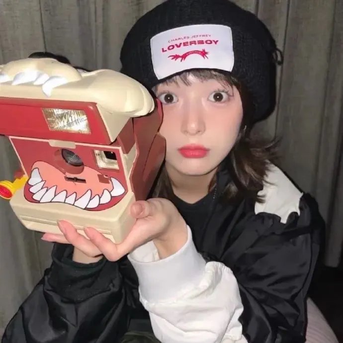 菊石